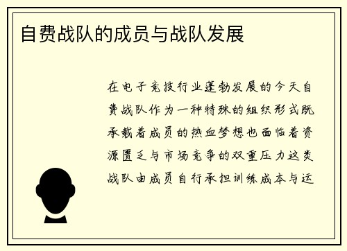 自费战队的成员与战队发展